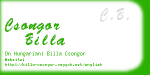 csongor billa business card